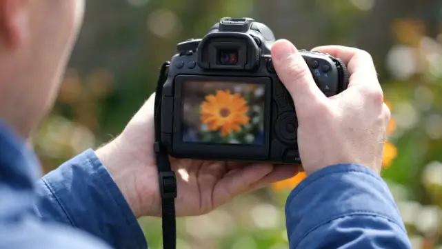 How to Fix Shaky Hands Photography A Complete Guide for Sharper and More Professional Photos