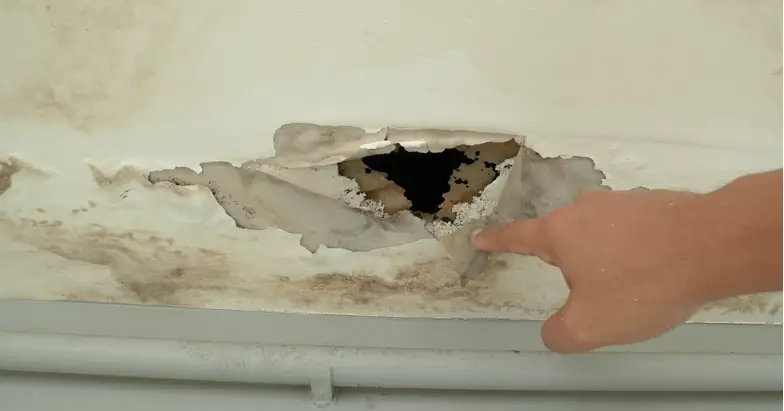 The Secondary Water Damage Effects After Storms That Insurers Often Reevaluate